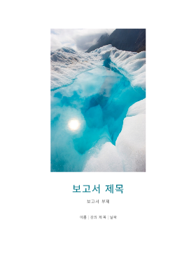 표시 사진이 있는 학생 보고서 표시 사진이 있는 학생 보고서